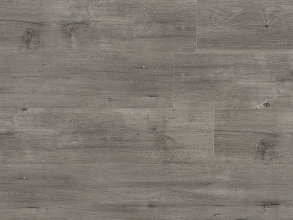 Morocco Oak